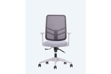 Leta Fileli Ofis Çalışma Koltukları- Renkli Gövde 3d Ayarlı Kol 