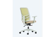 Leta Fileli Ofis Çalışma Koltukları- Renkli Gövde 3d Ayarlı Kol 