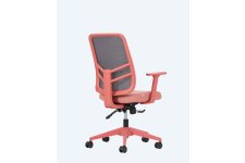 Leta Fileli Ofis Çalışma Koltukları- Renkli Gövde 3d Ayarlı Kol 