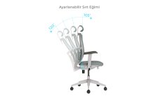 LUMBAR ÇALIŞMA KOLTUĞU