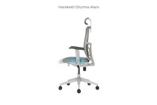 LUMBAR ÇALIŞMA KOLTUĞU