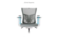 LUMBAR ÇALIŞMA KOLTUĞU