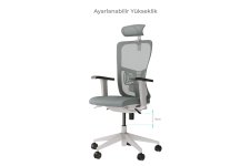 LUMBAR ÇALIŞMA KOLTUĞU